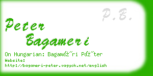 peter bagameri business card